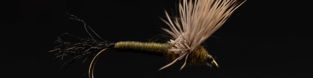 Flavilinea Sparkle Dun - Fly Fish Food