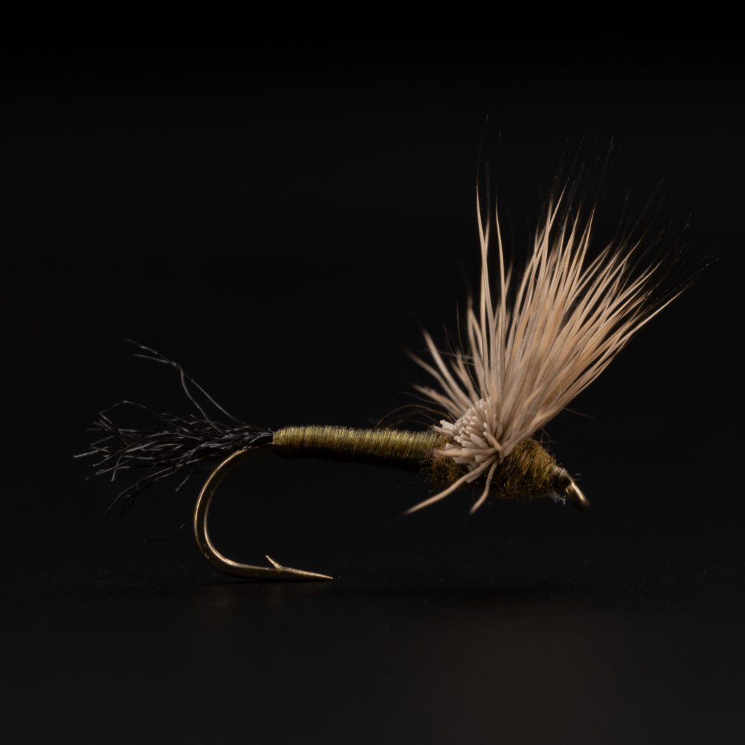 Flavinella Comparadun - Fly Fish Food