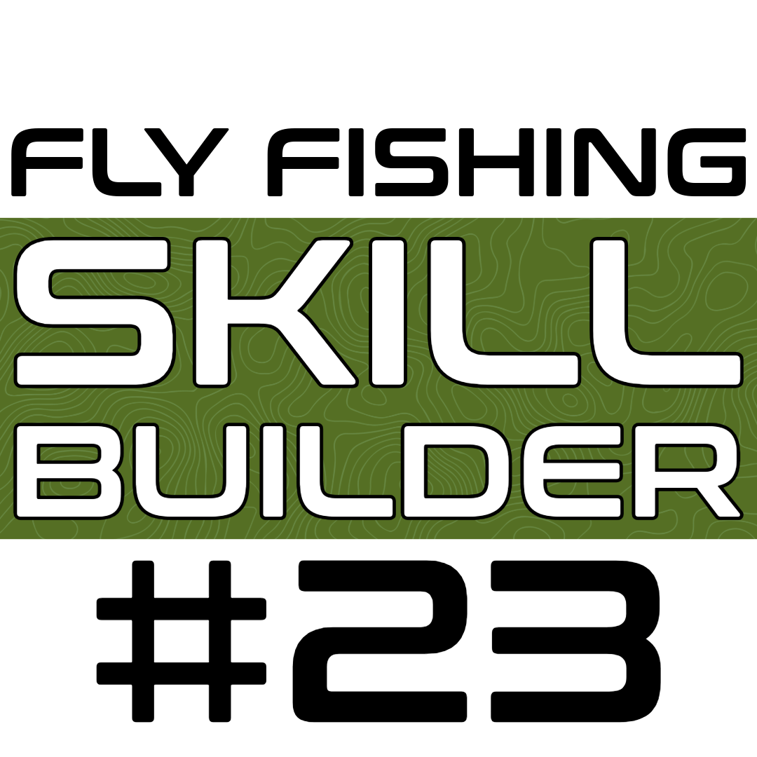 fly fishing skill builder #23 - Fly Fish Food