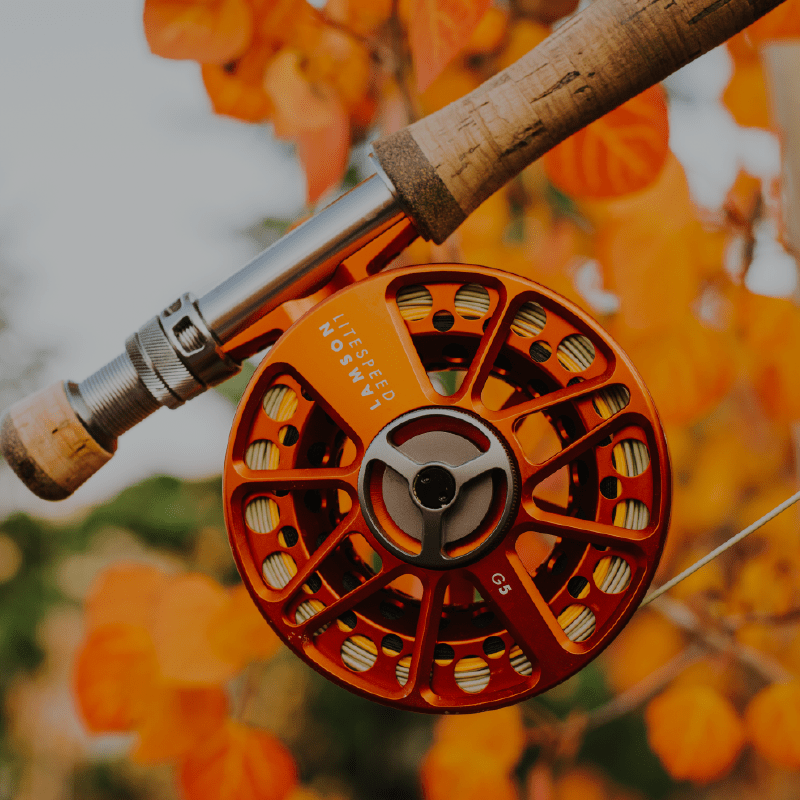 Fall Colors - Fly Fish Food