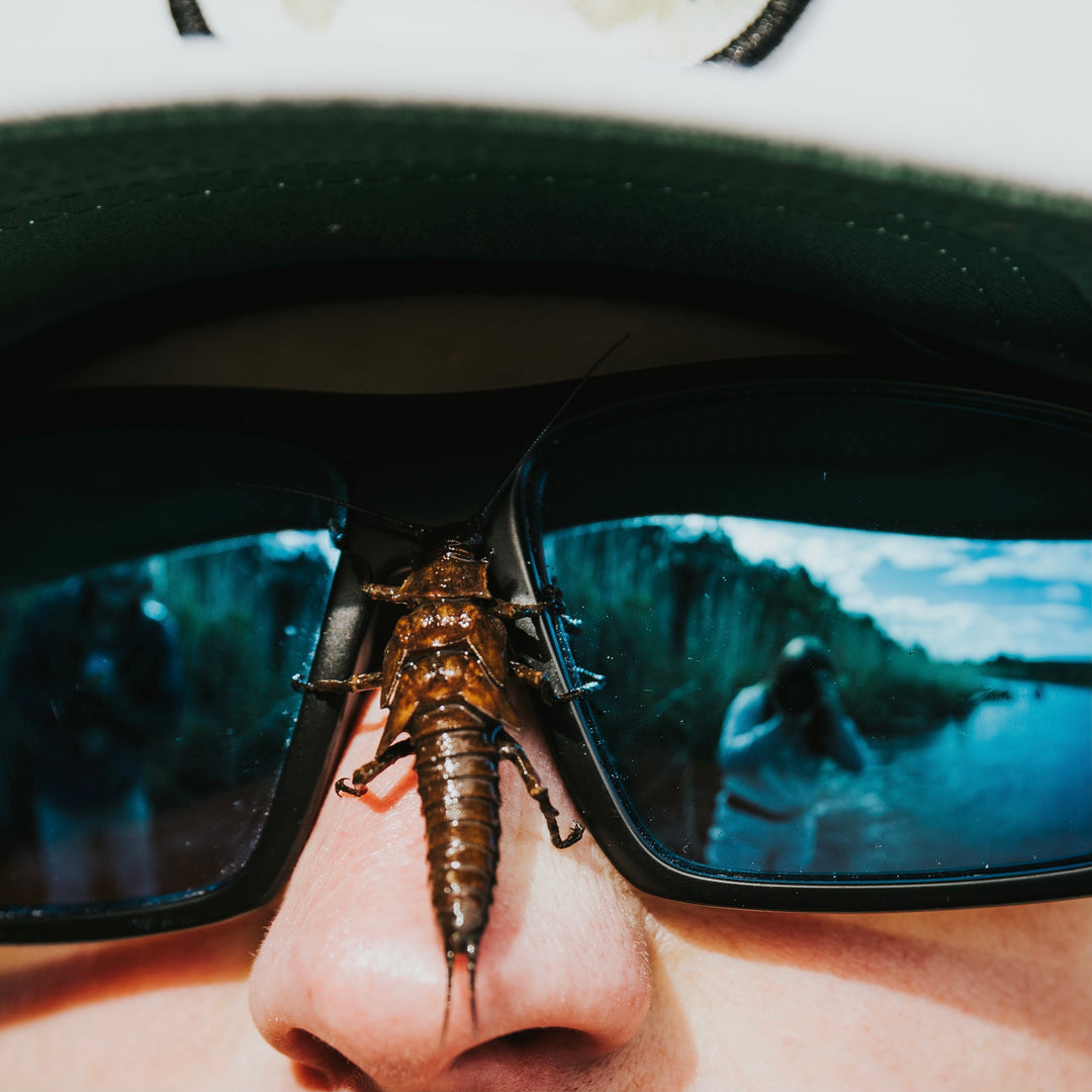 Sunglasses - Fly Fish Food