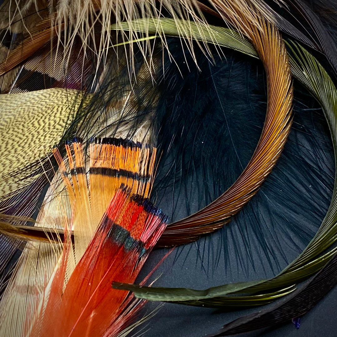 Feathers & Marabou - Fly Fish Food