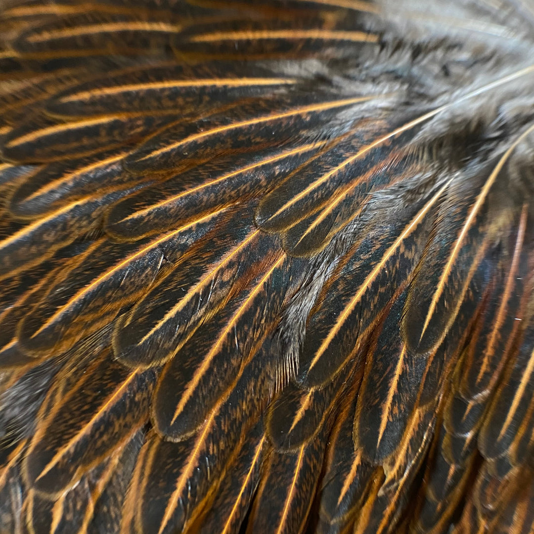 Hen Hackle - Fly Fish Food
