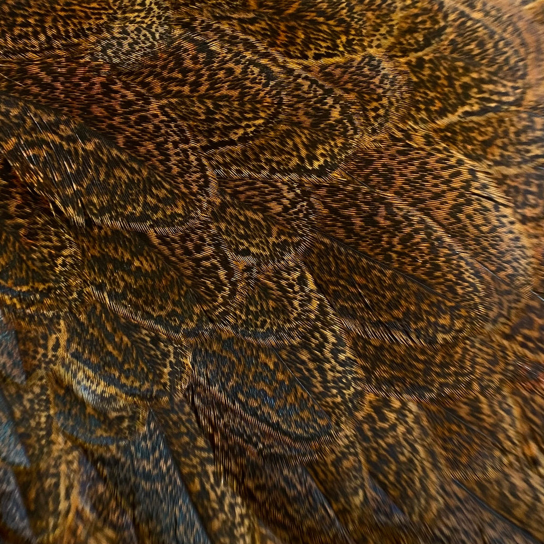 Coq De Leon Hen - Fly Fish Food