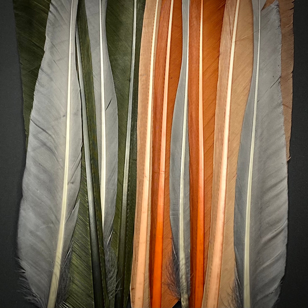 Duck & Turkey Feathers - Fly Fish Food