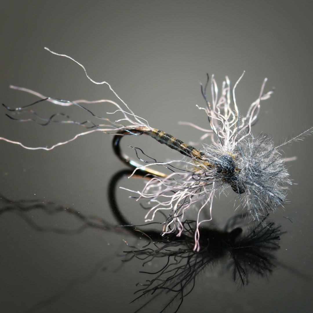 New Winter Collection - Fly Fish Food