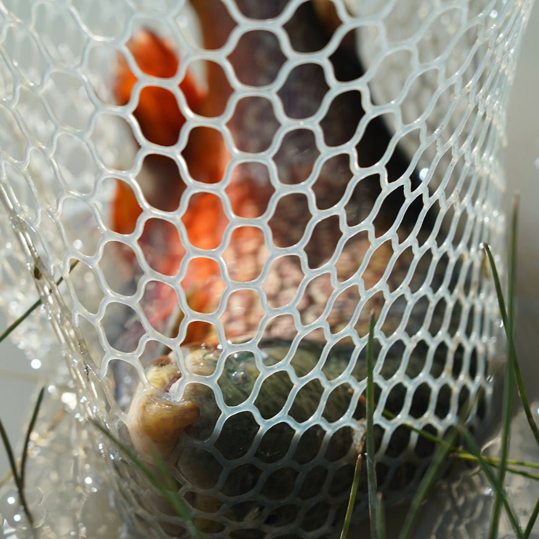 Replacement Net Bags - Fly Fish Food