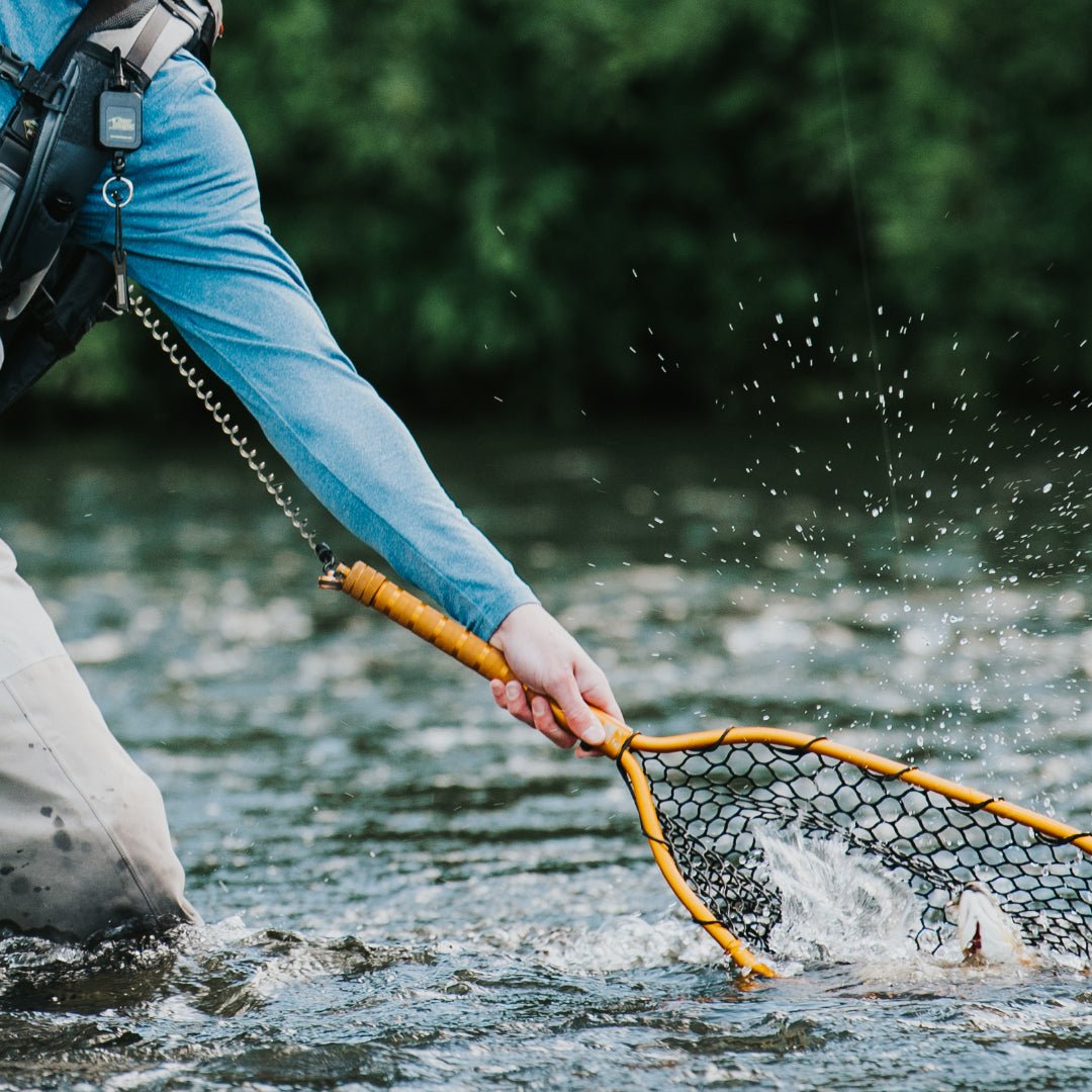 Net Accessories - Fly Fish Food