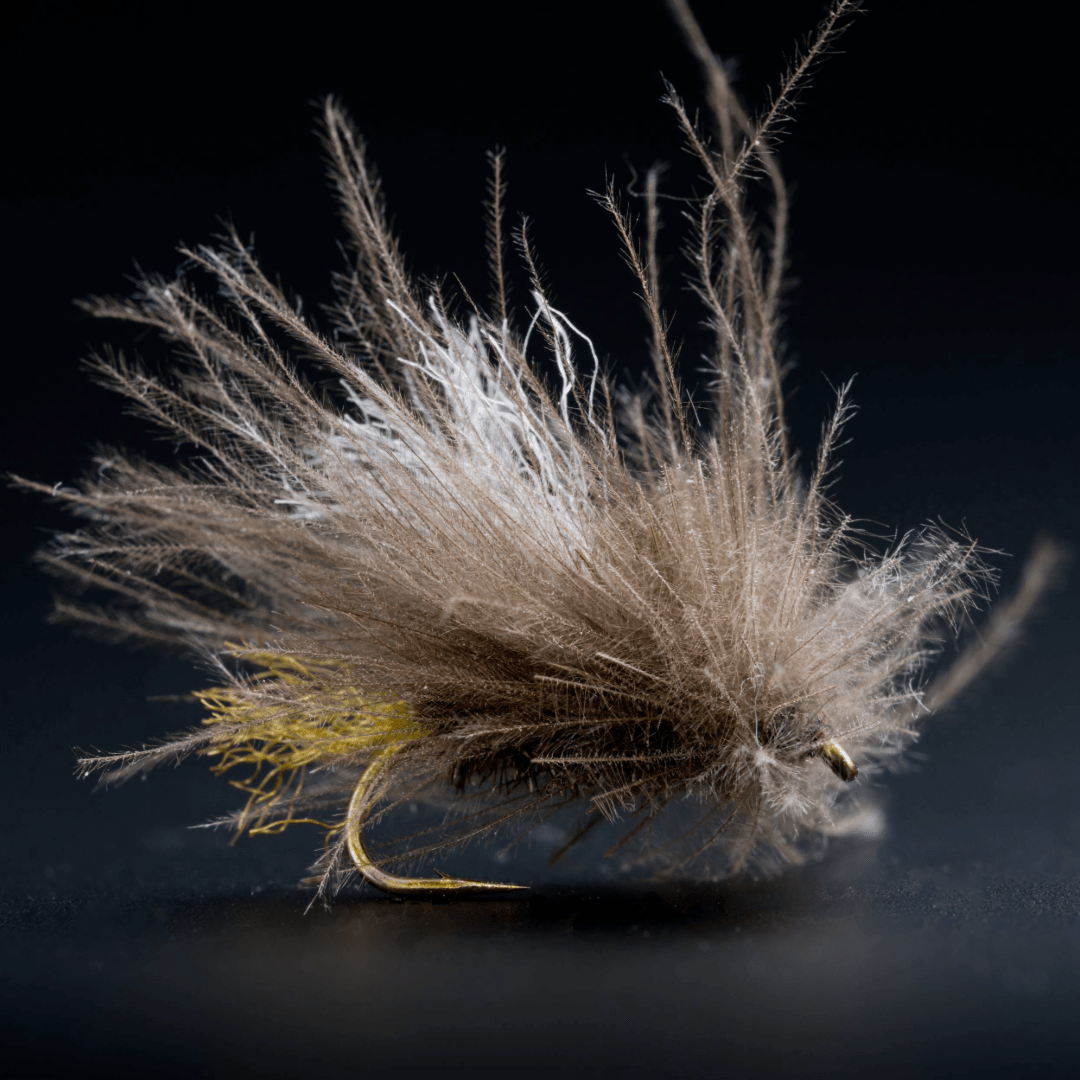 Peacock Corn Fed Caddis - Fly Fish Food