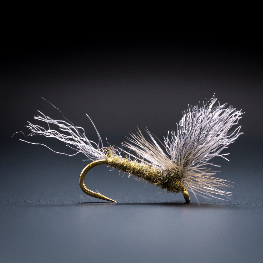 Simple Parachute BWO - Fly Fish Food