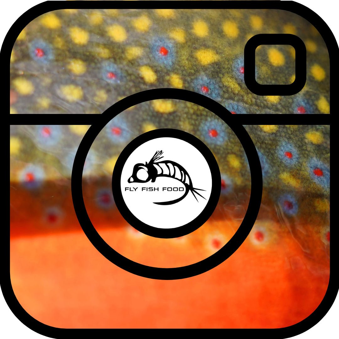 Social Media Content - Fly Fish Food