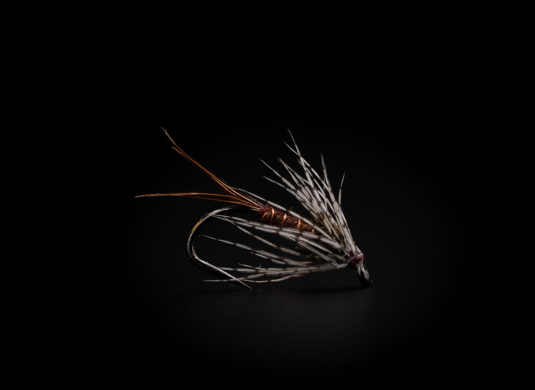 Chouinard's Pheasant Tail Flymph - Fly Fish Food