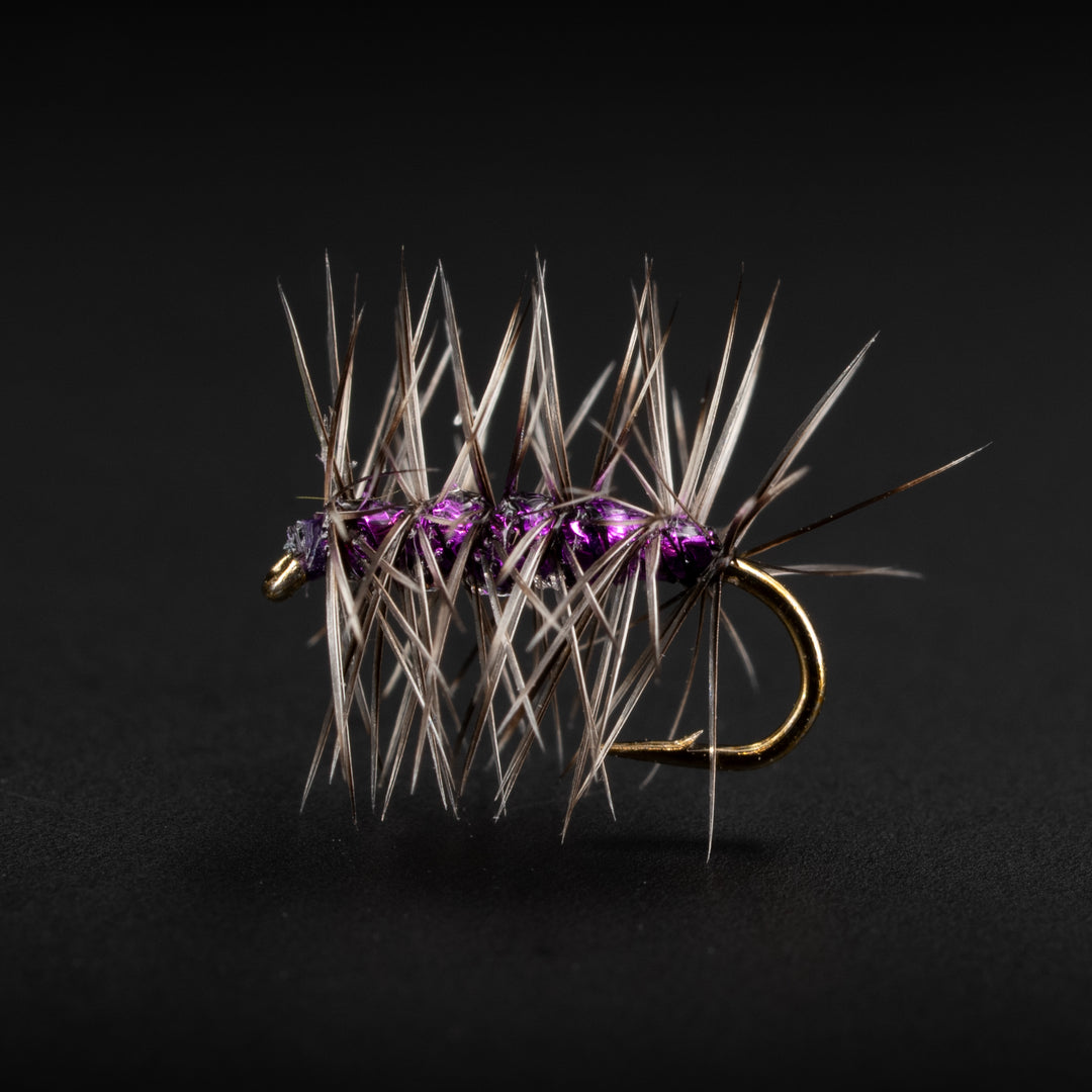 Sparkle Gnat - Fly Fish Food