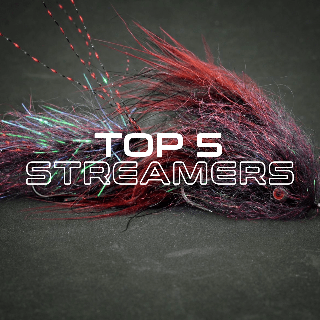 Top 5 Streamers - Fly Fish Food