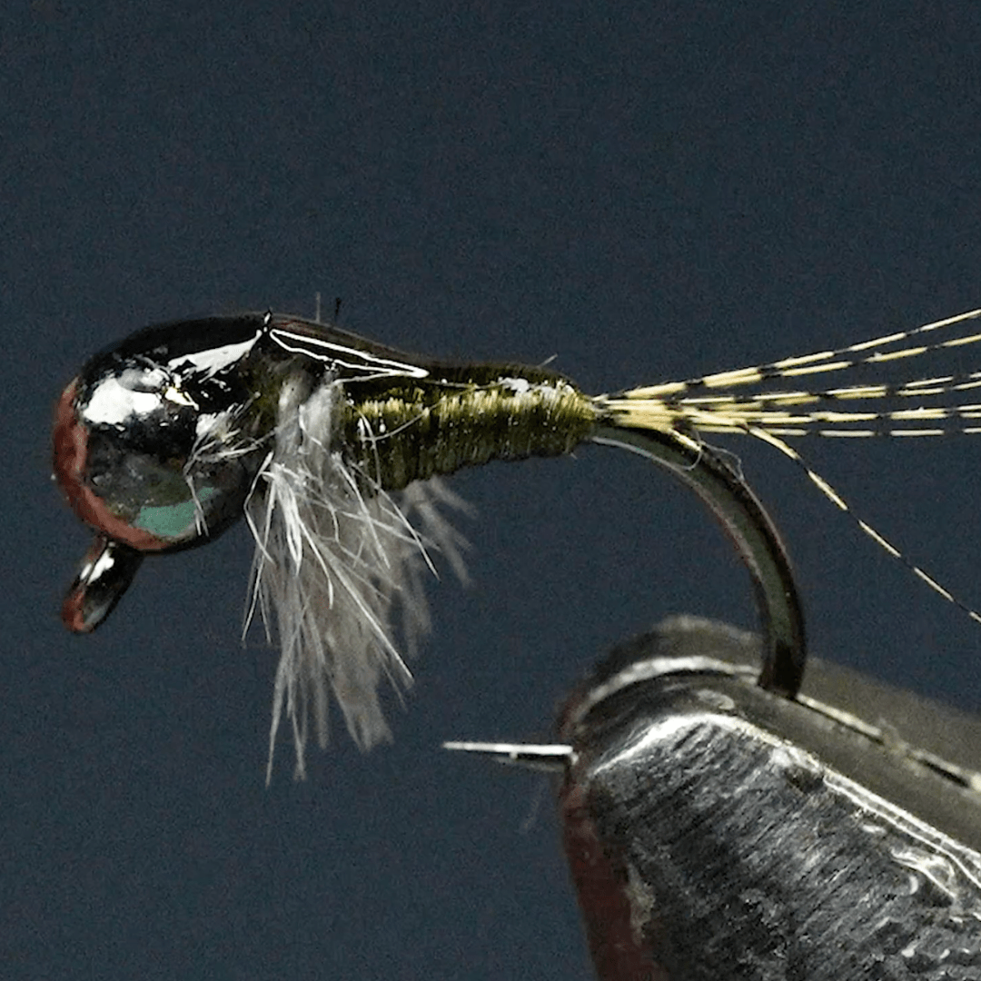 Allegedly Ostrich Baetis - Fly Fish Food