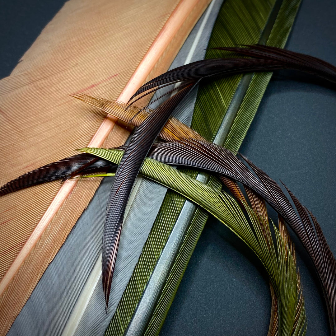 Biots & Quills - Fly Fish Food