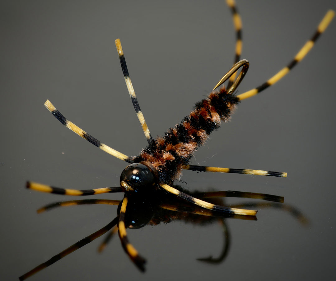 Stoneflies - Fly Fish Food