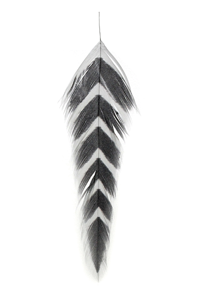 MFC - Galloup's Fish Feathers - Arrowhead