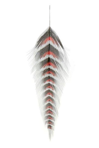MFC - Galloup's Fish Feathers - Grizzled