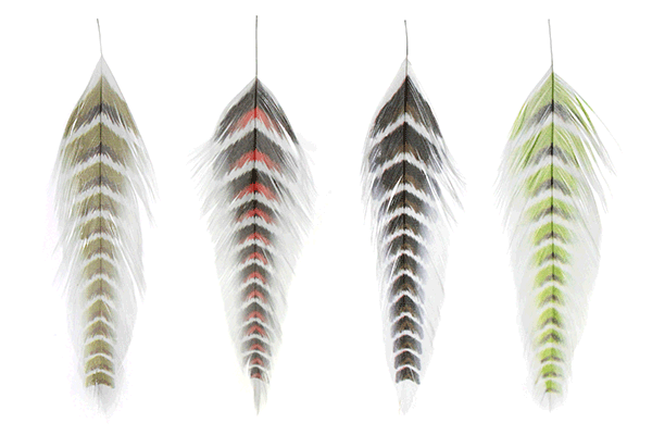 MFC - Galloup's Fish Feathers - Grizzled - Feathers & Marabou - Fly Fish Food
