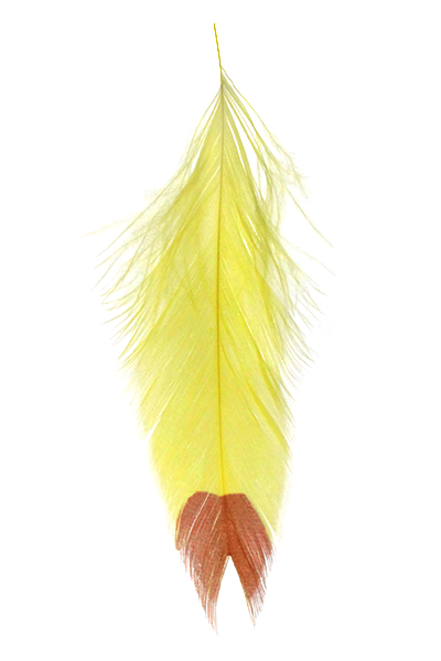 MFC - Galloup's Fish Feathers - Fin Tip