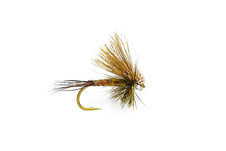 Hairwing Western Green Drake