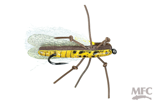 Trina's Golden - Flies - Fly Fish Food
