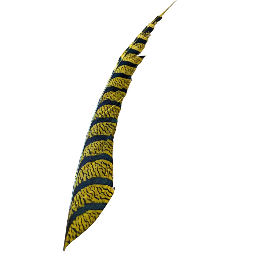Lady Amherst Center Tail - Halfs - Feathers & Marabou - Fly Fish Food