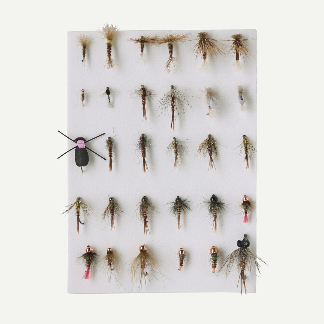 Patagonia - Fly Box - Pheasant Tail Flies