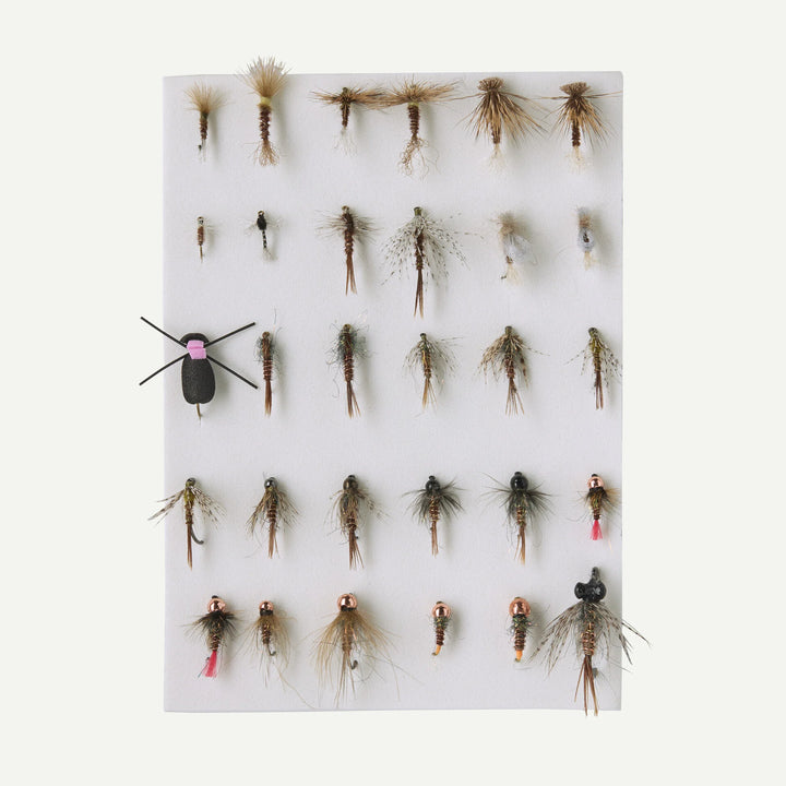 Patagonia - Fly Box - Pheasant Tail Flies