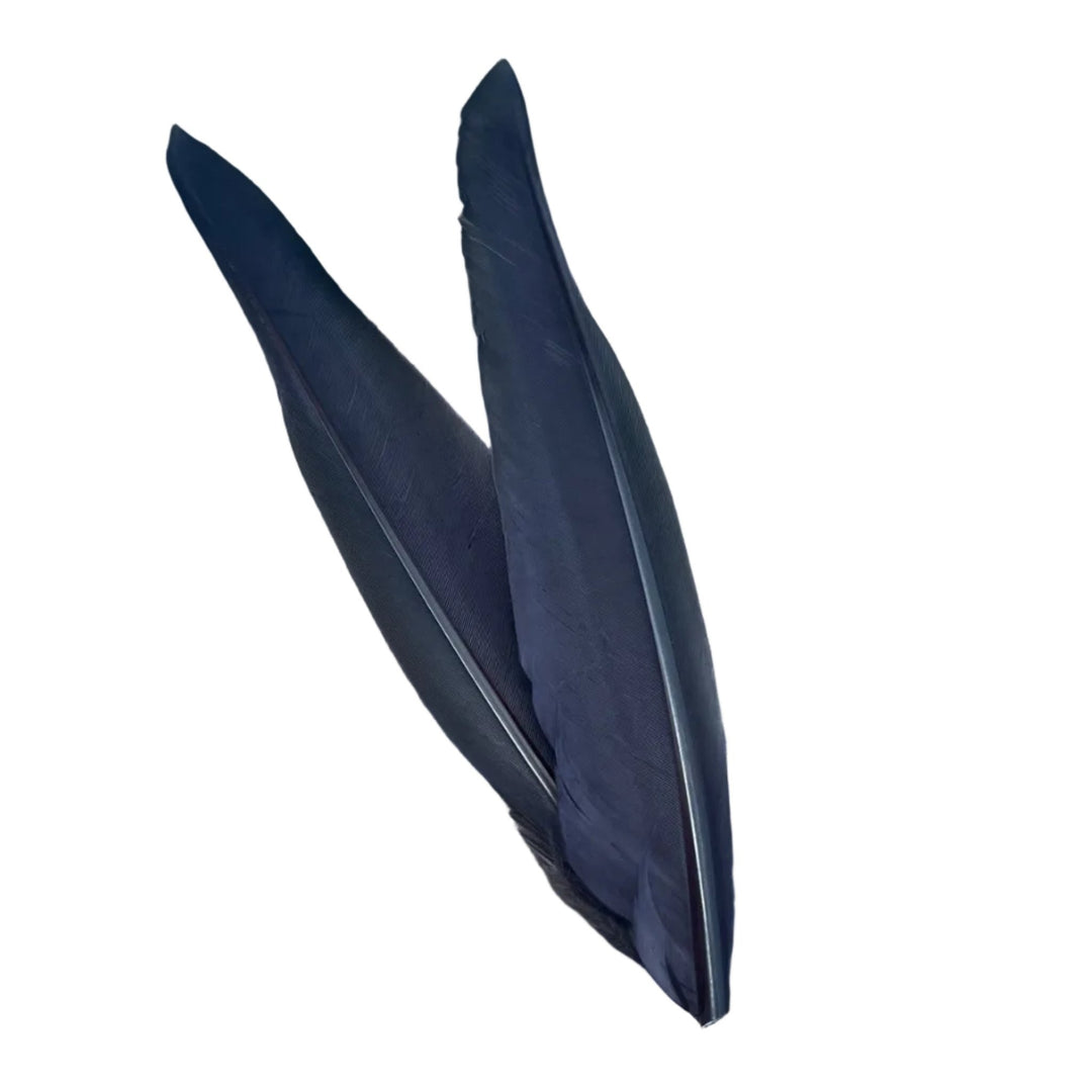 Duck Quills - 2 Pair - Feathers & Marabou - Fly Fish Food