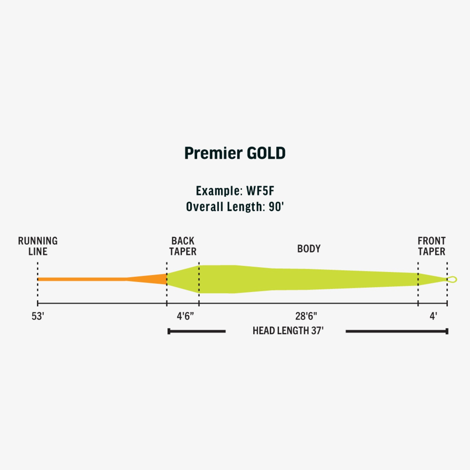 Rio Premier Gold Max -Mint/Blaze Orange – Fly Fish Food