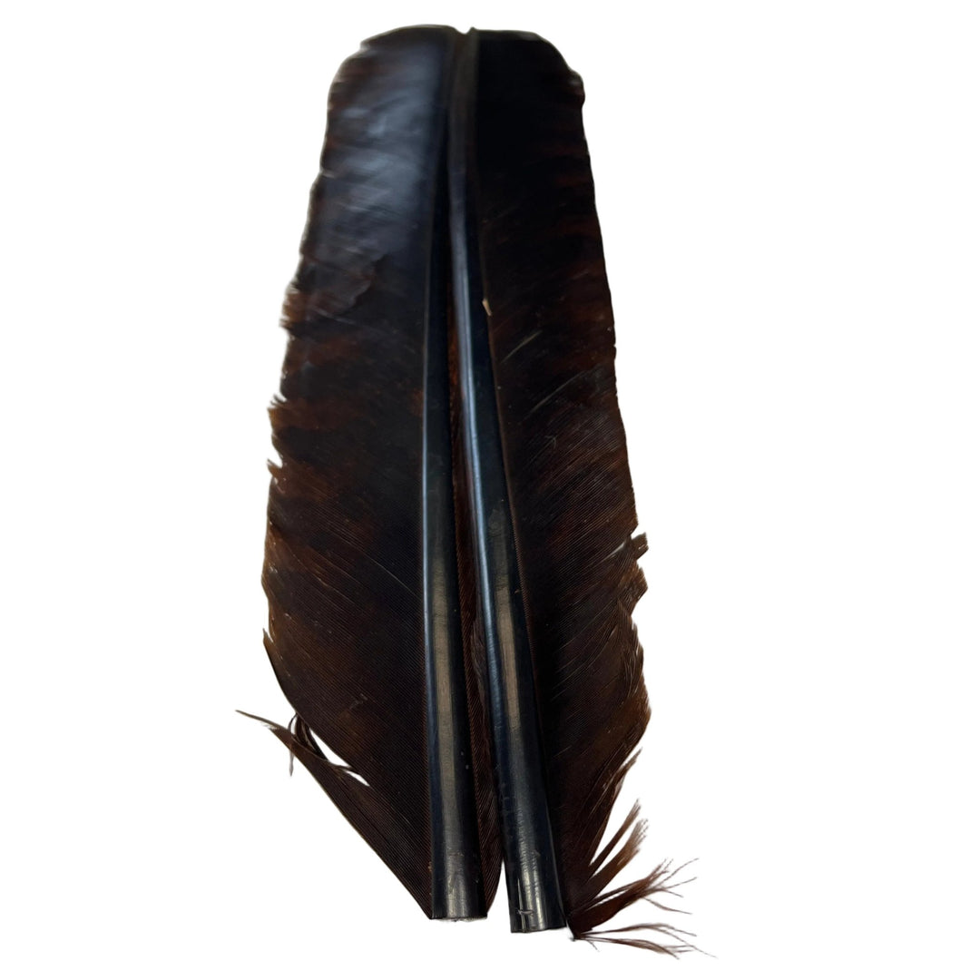 Barred Turkey Biot Quill Pair - Feathers & Marabou - Fly Fish Food