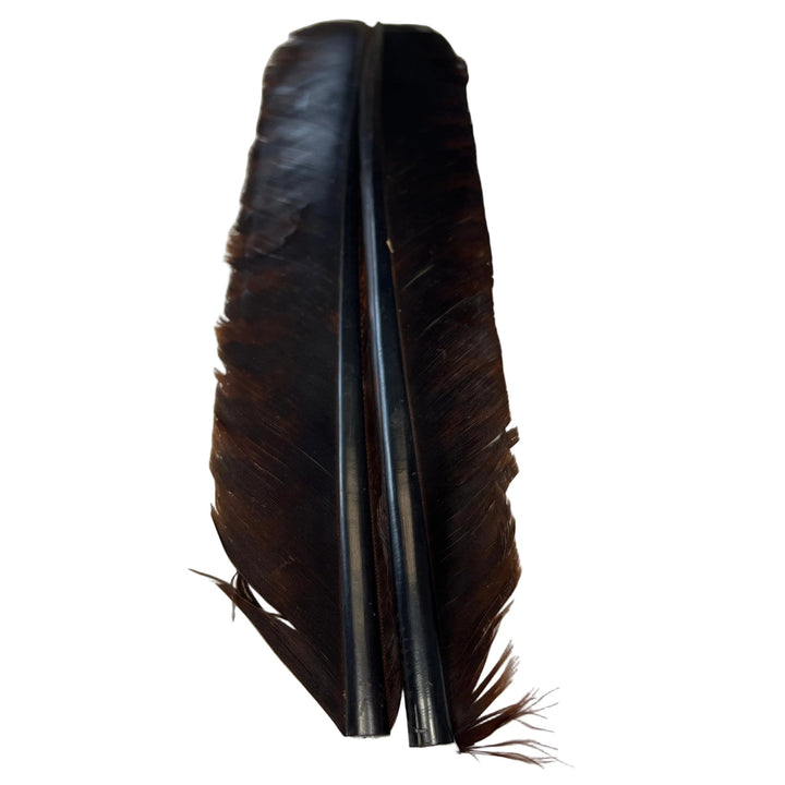 Barred Turkey Biot Quill Pair - Feathers & Marabou - Fly Fish Food