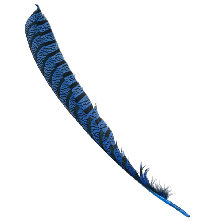 Lady Amherst Center Tail - Halfs - Feathers & Marabou - Fly Fish Food