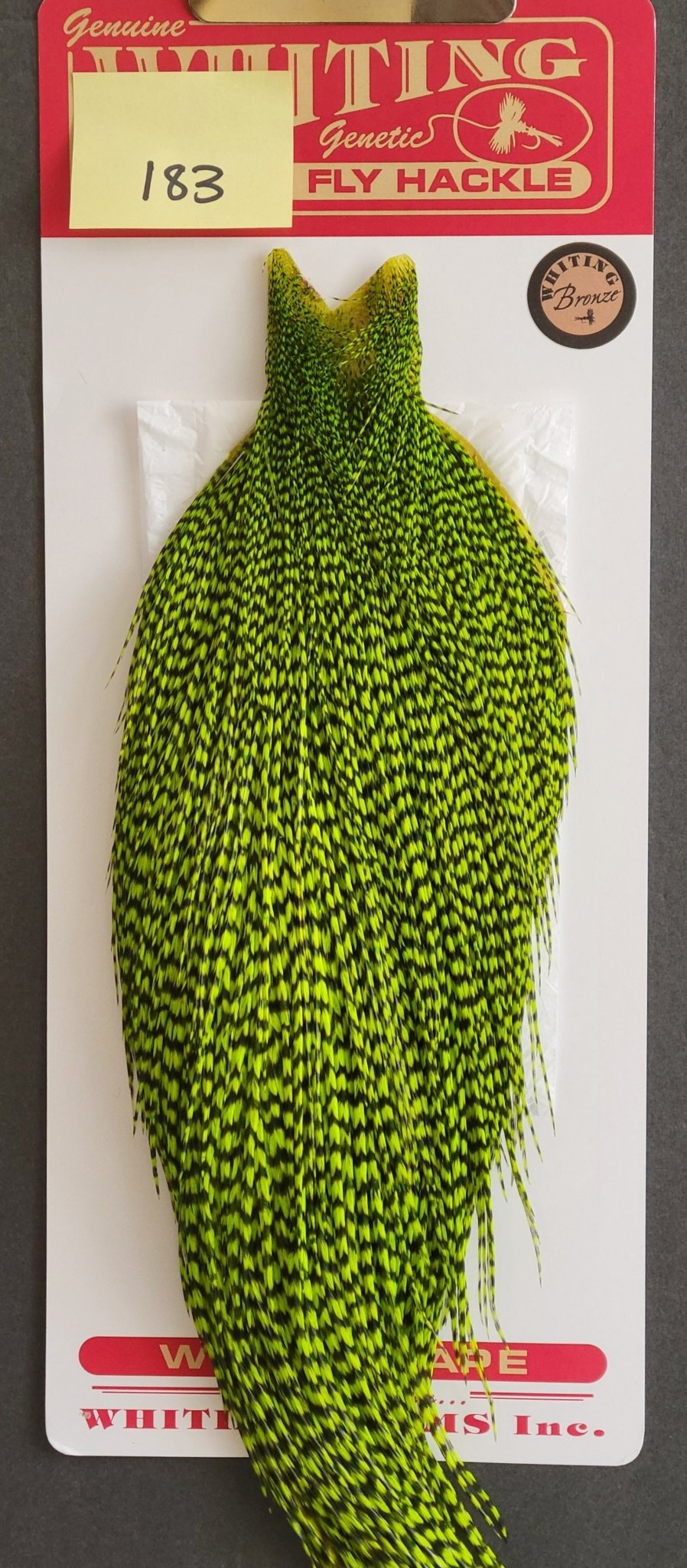 Flash Sale Hackle 183 - Whiting Cape Bronze - Grizzly Fluorescent Green (sizes 8 - 22) - Hackle - Fly Fish Food