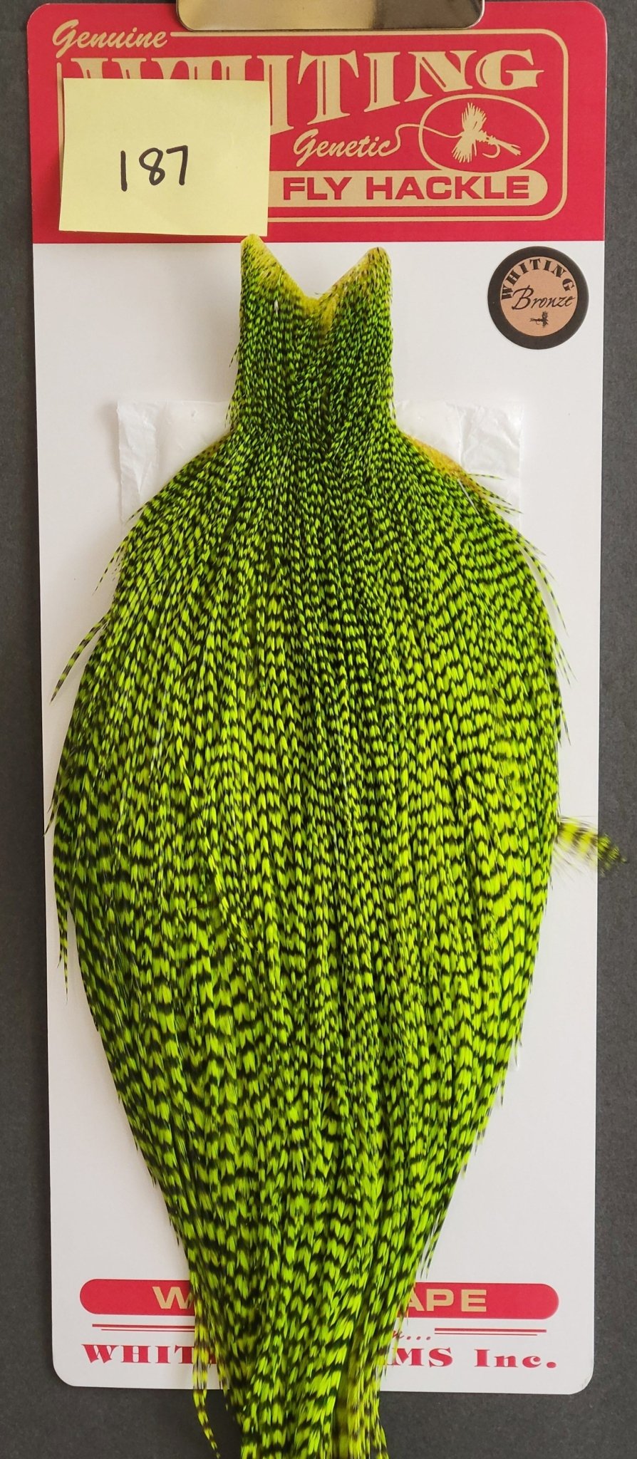 Flash Sale Hackle 187 - Whiting Cape Bronze - Grizzly Fluorescent Green (sizes 8 - 22) - Hackle - Fly Fish Food