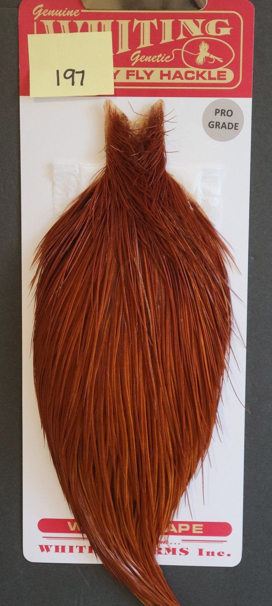 Flash Sale Hackle 197 - Whiting Cape Bronze - Brown (sizes 8 - 22) - Hackle - Fly Fish Food