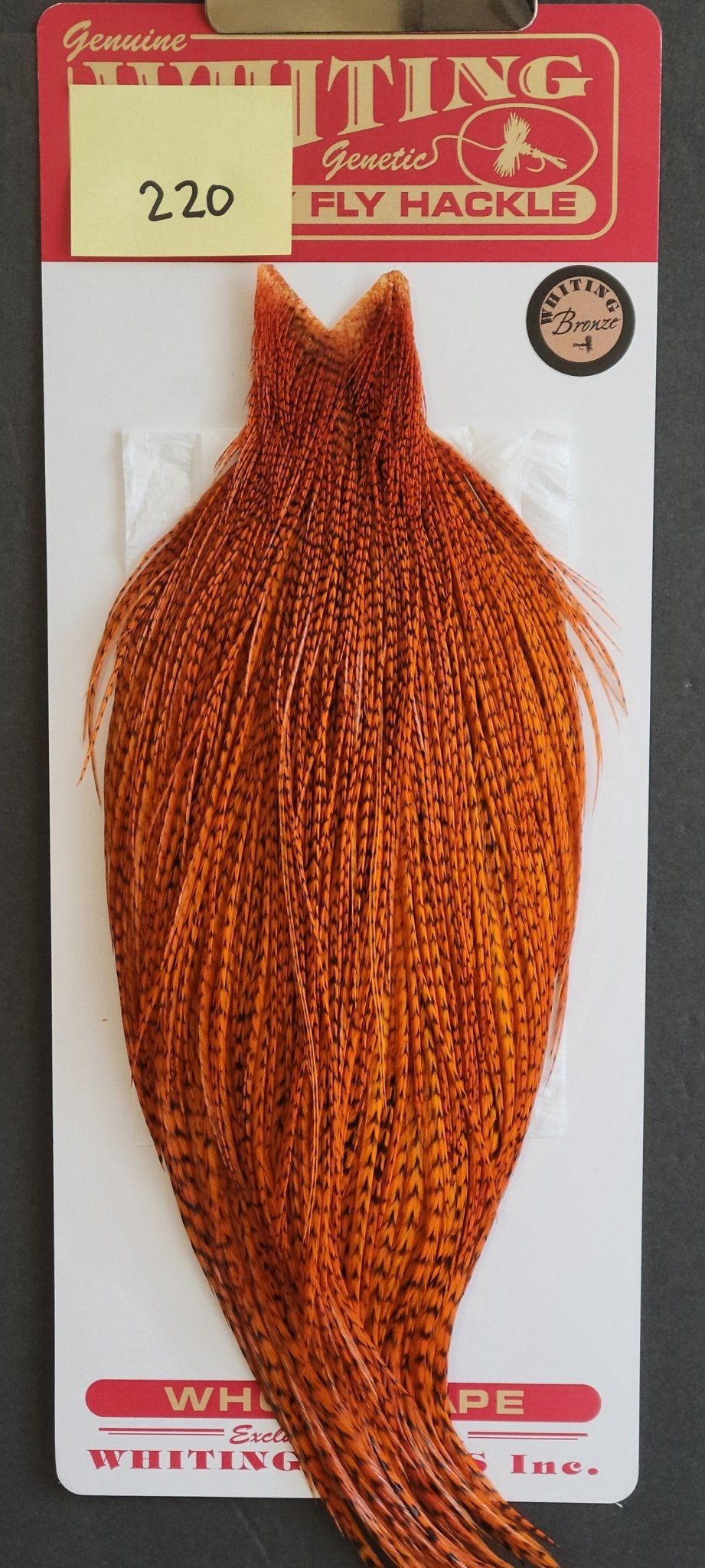 Flash Sale Hackle 220 - Whiting Cape Bronze - Grizzly Dyed Burnt Orange (sizes 8 - 22) - Hackle - Fly Fish Food