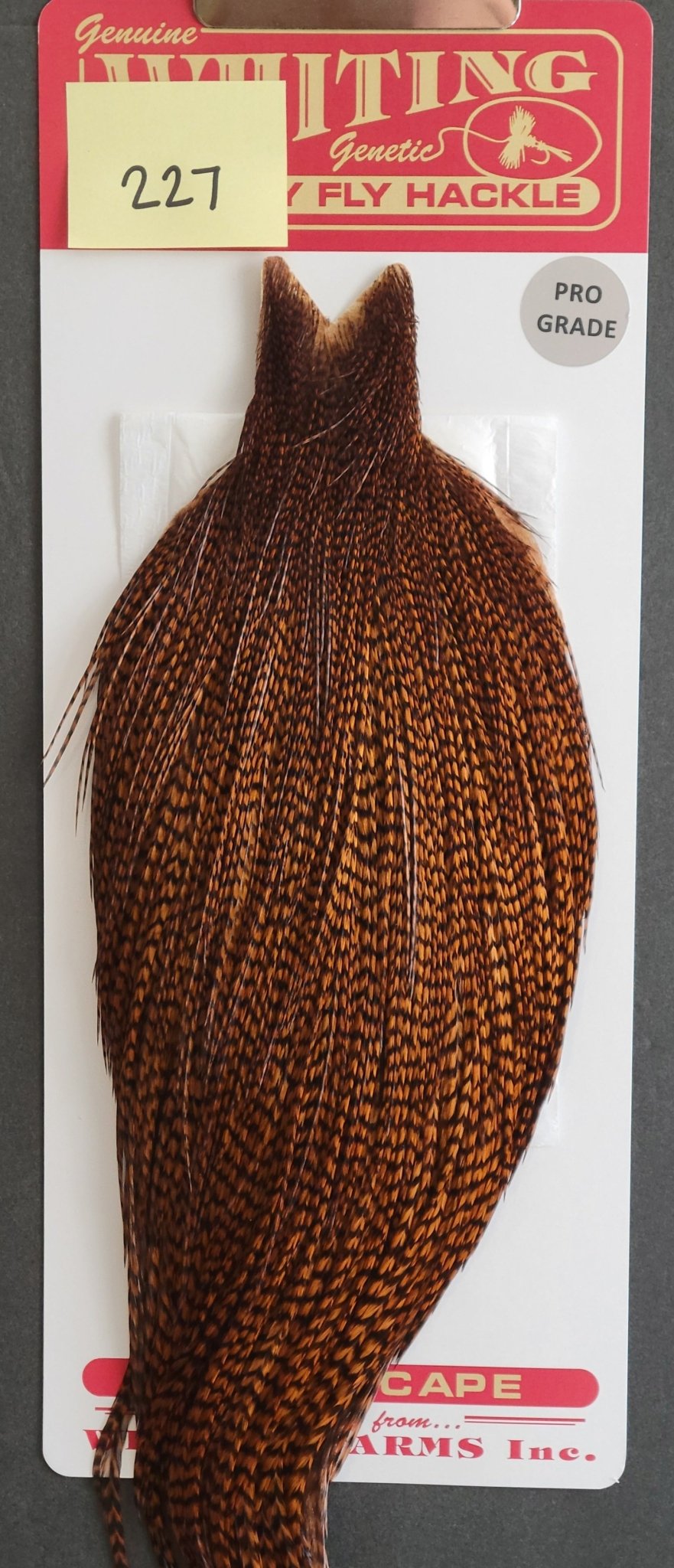 Flash Sale Hackle 227 - Whiting Cape Pro - Grizzly Dyed Brown (sizes 8 - 22) - Hackle - Fly Fish Food