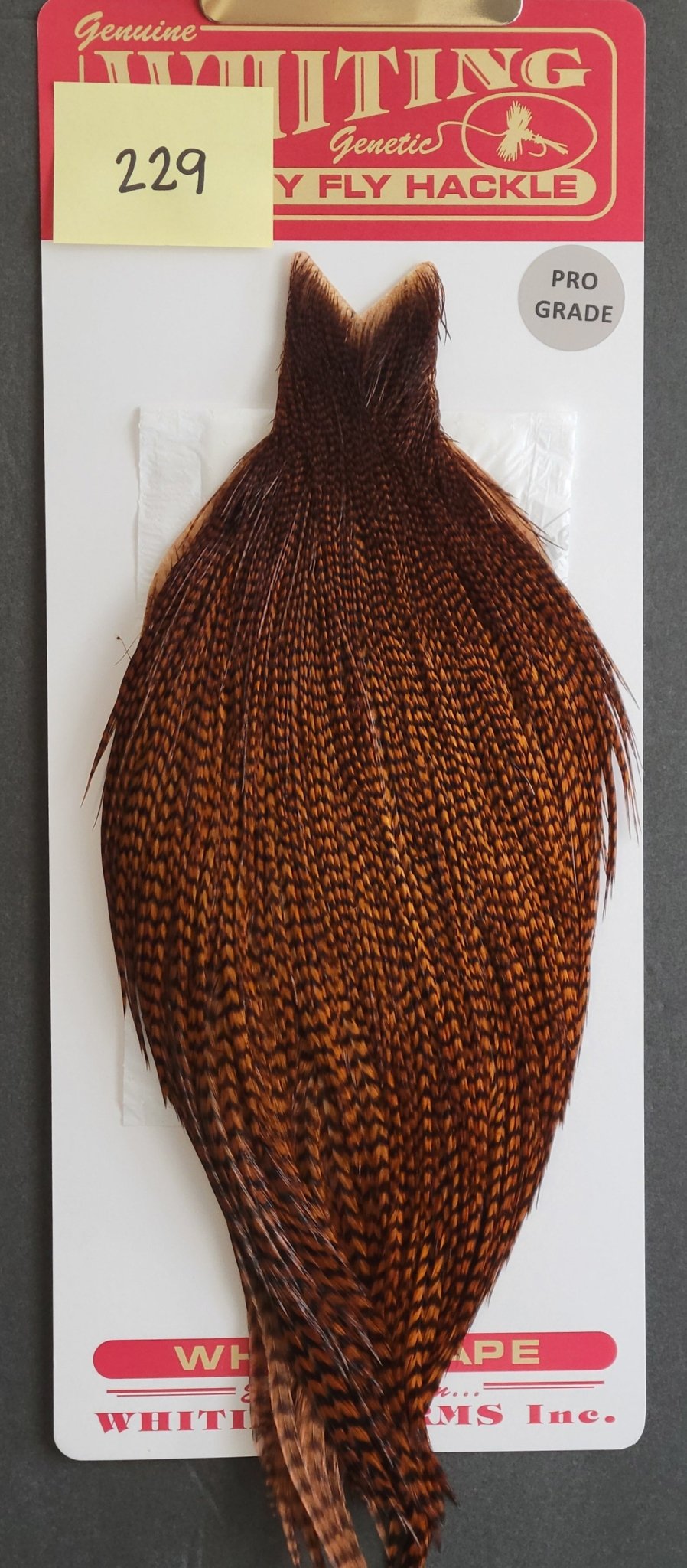 Flash Sale Hackle 229 - Whiting Cape Pro - Grizzly Dyed Brown (sizes 8 - 22) - Hackle - Fly Fish Food