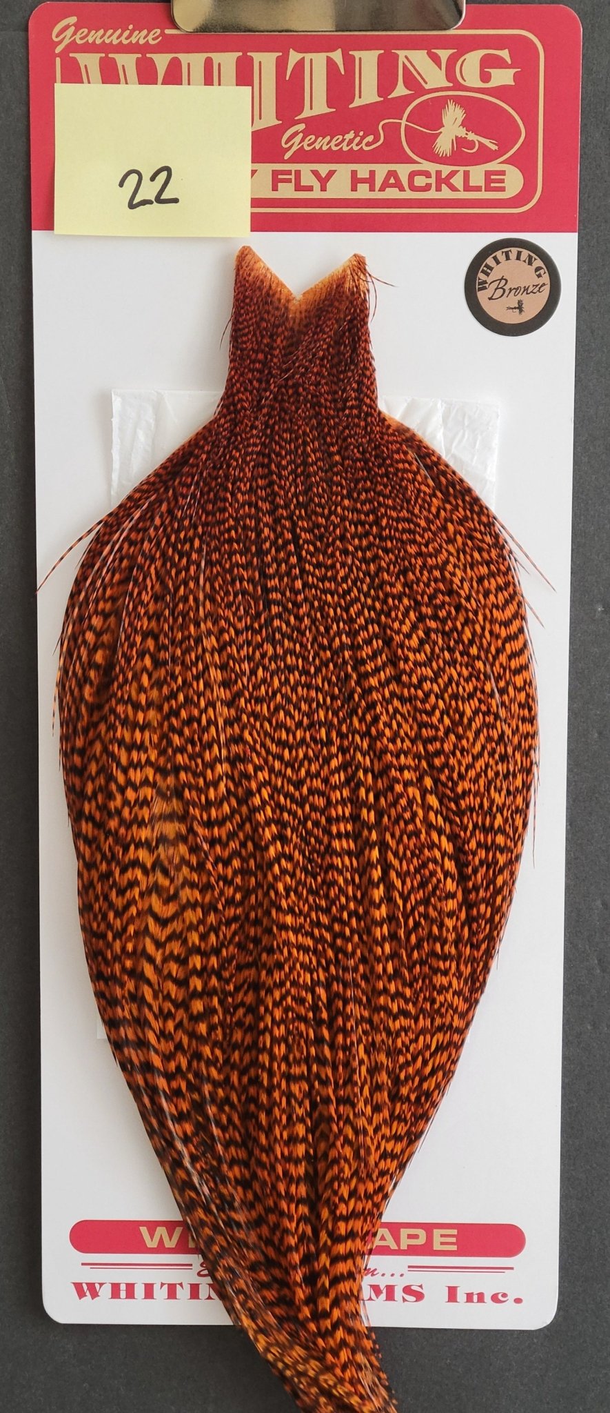 Flash Sale Hackle 22 - Whiting Cape Bronze - Grizzly Dyed Burnt Orange (sizes 8 - 22) - Hackle - Fly Fish Food