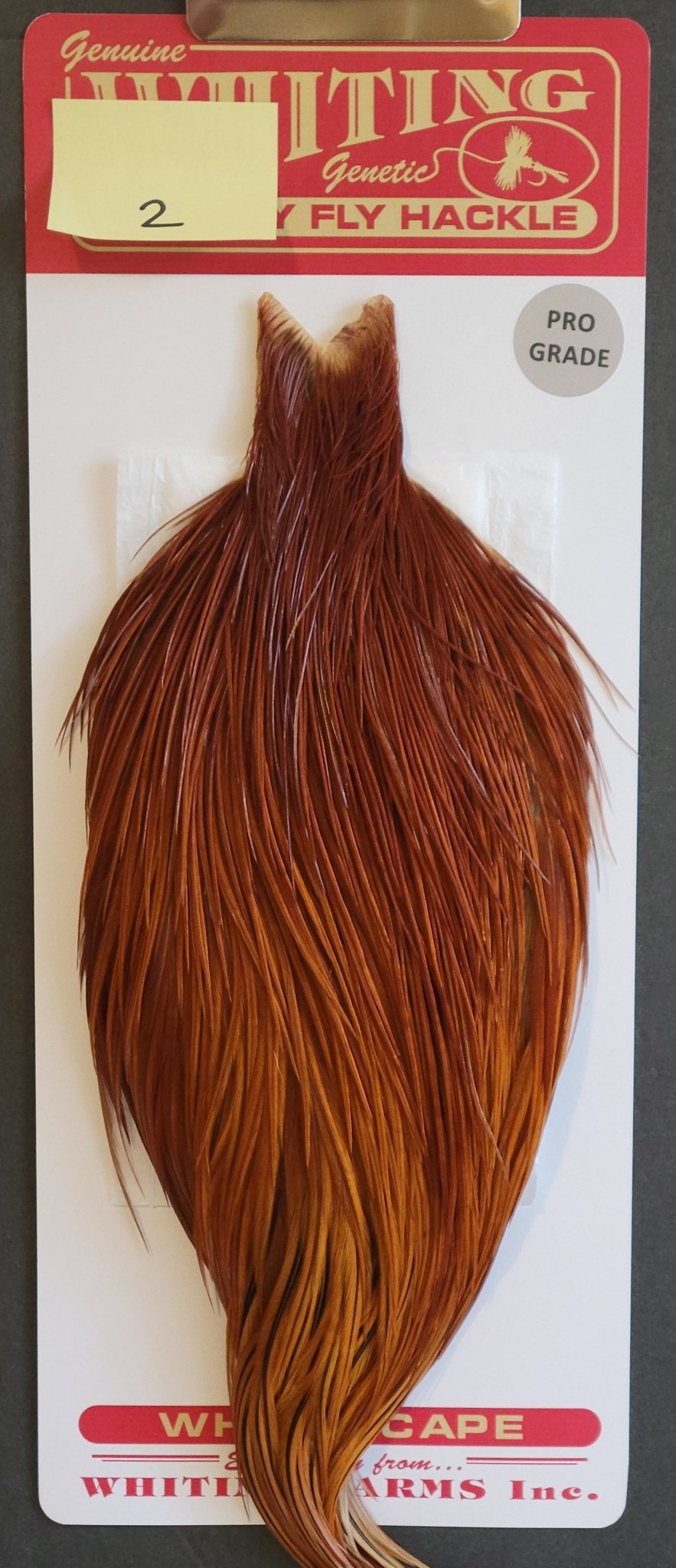 Flash Sale Hackle 2 - Whiting Cape Bronze - Brown (sizes 8 - 22) - Hackle - Fly Fish Food