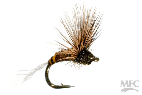 Steve's Sipper Dun - Olive - Flies - Fly Fish Food