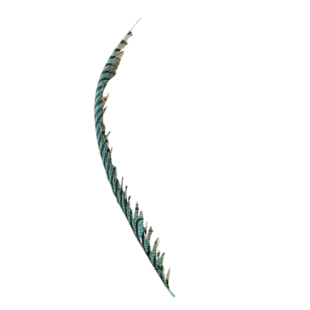 Lady Amherst Center Tail Feather - Feathers & Marabou - Fly Fish Food