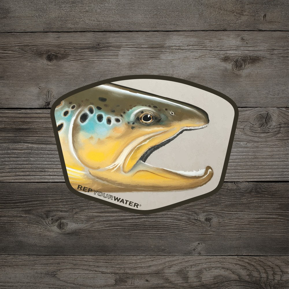 RepYourWater Sticker, Trutta Portrait