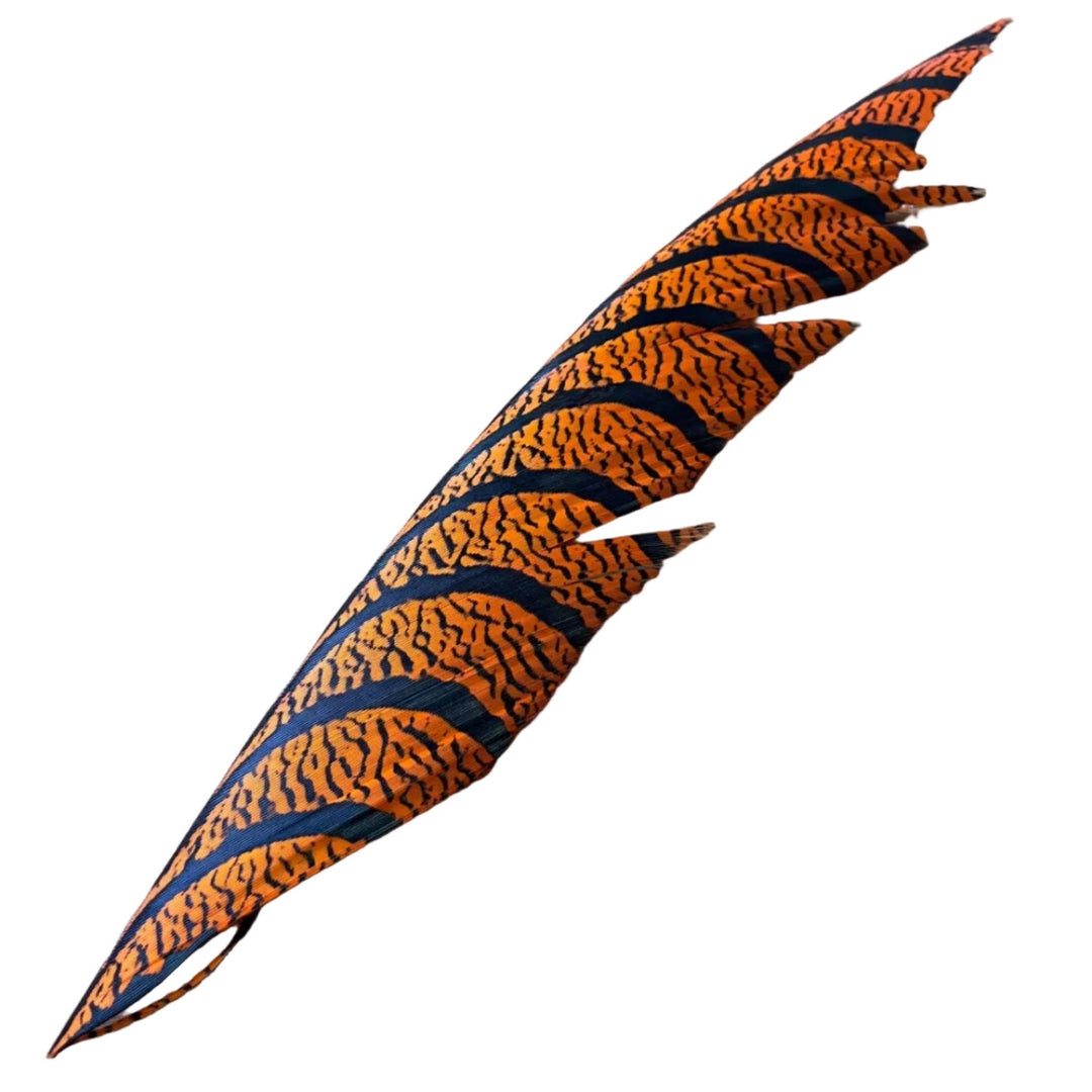 Lady Amherst Center Tail - Halfs - Feathers & Marabou - Fly Fish Food