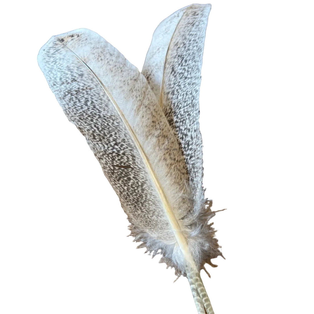 Mottled Ozark Secondary Pair - Feathers & Marabou - Fly Fish Food