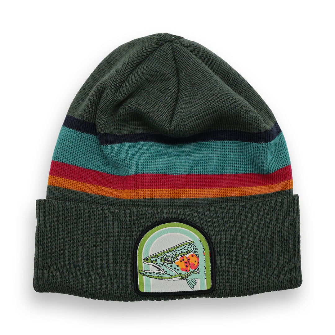 RepYourWater Knit Hat, Canyon Rainbow