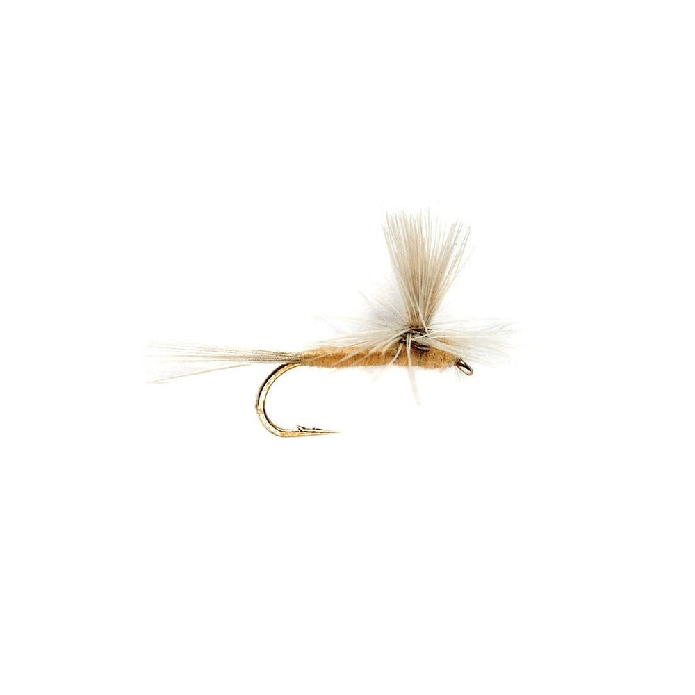 Sulphur Parachute - Flies - Fly Fish Food